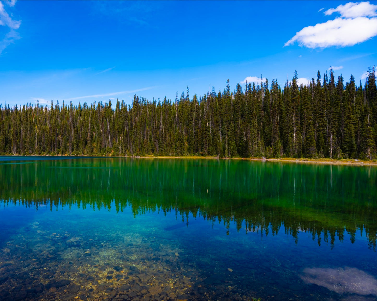 Painted Pond