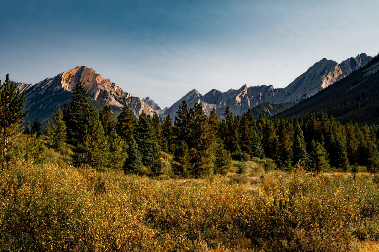 Mountain's Edge
