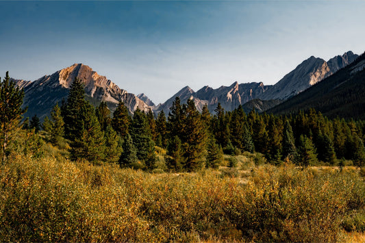 Mountain's Edge