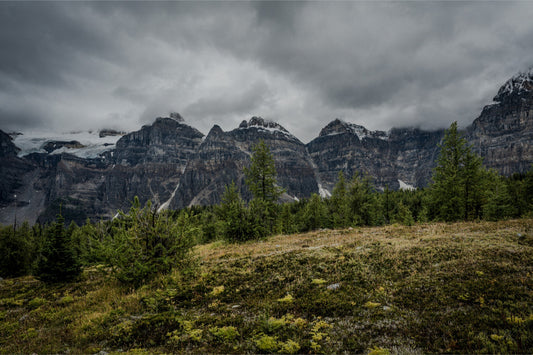 Misty Mountain