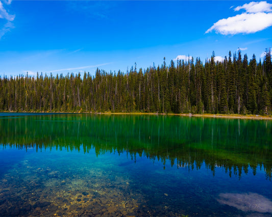 Painted Pond